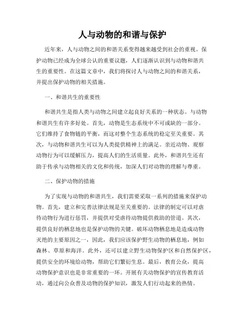 人与动物的和谐与保护