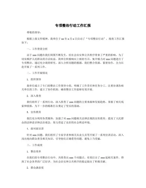 专项整治行动工作汇报