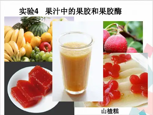 浙科高中生物选修一实验果汁中的果胶和果胶酶