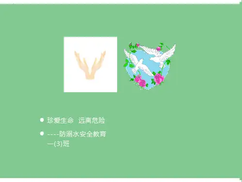 防溺水家长会ppt