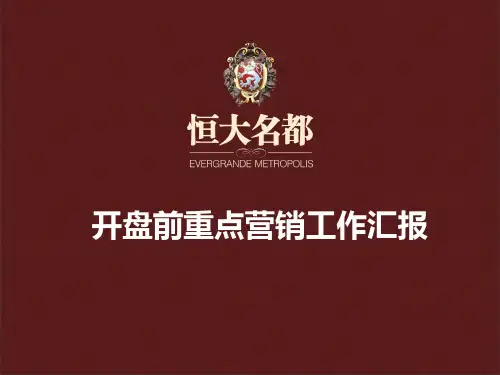 恒大名都开盘前营销策划方案