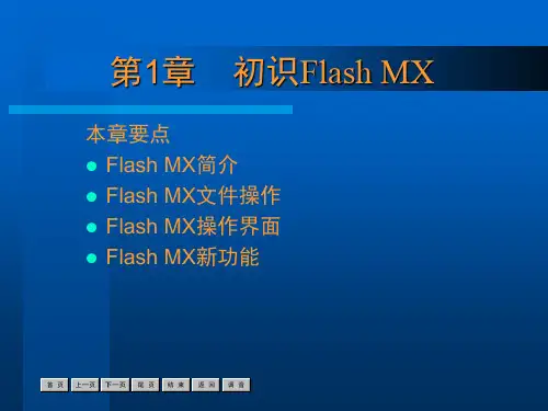 flash介绍