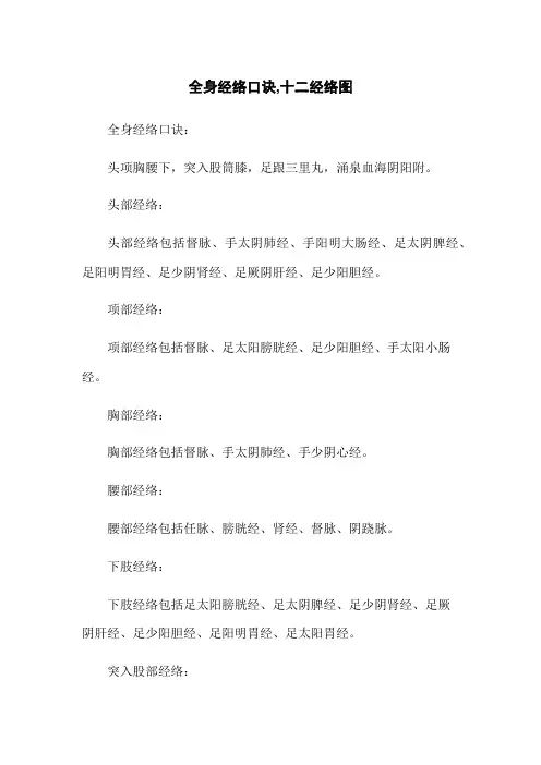 全身经络口诀,十二经络图