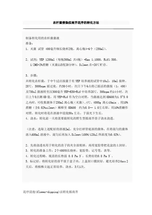 农杆菌侵染拟南芥花序的转化方法
