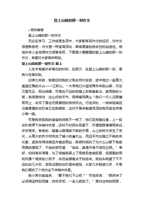 登上山峰的那一刻作文