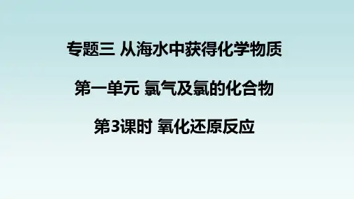 氧化还原反应课件-高一上学期化学苏教版(2019)必修第一册