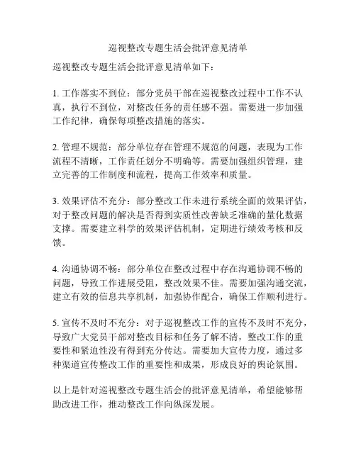 巡视整改专题生活会批评意见清单