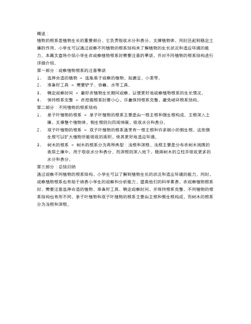 植物的根系结构：小学生的植物根系观察实验