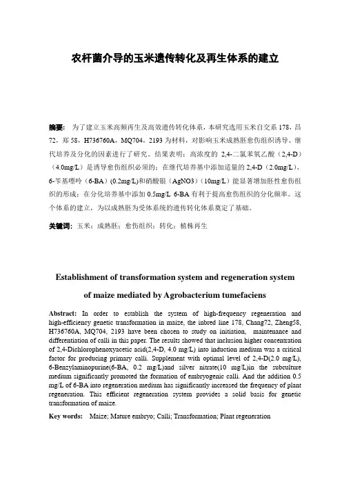 农杆菌介导的玉米遗传转化及再生体系的建立