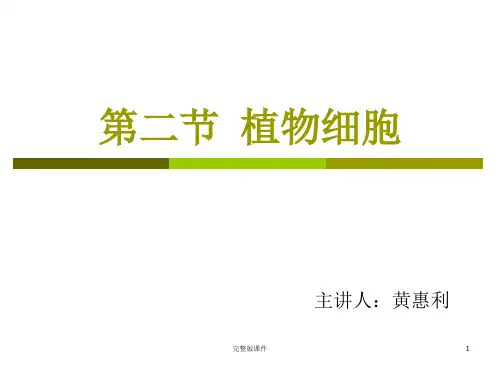 植物细胞1ppt课件