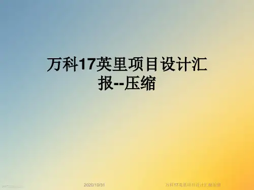 万科17英里项目设计汇报压缩