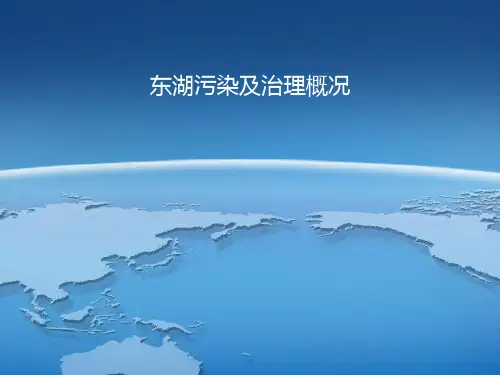 东湖污染及治理概况