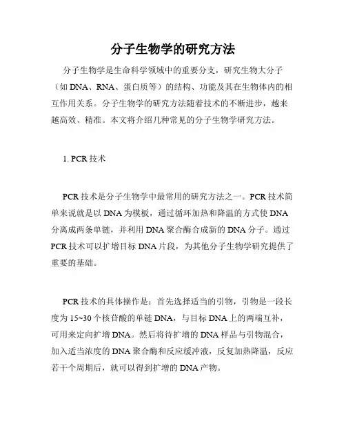 分子生物学的研究方法