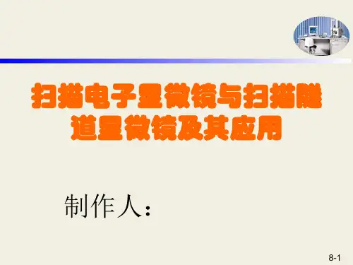 扫描电子显微镜与扫描隧道显微镜