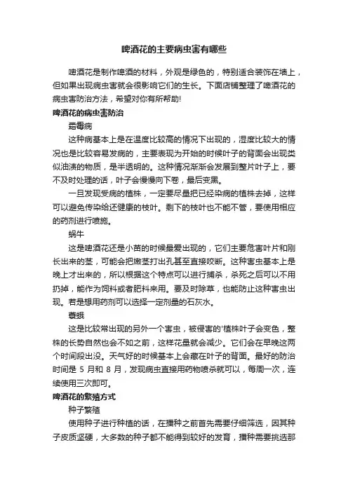 啤酒花的主要病虫害有哪些