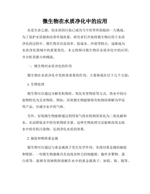 微生物在水质净化中的应用