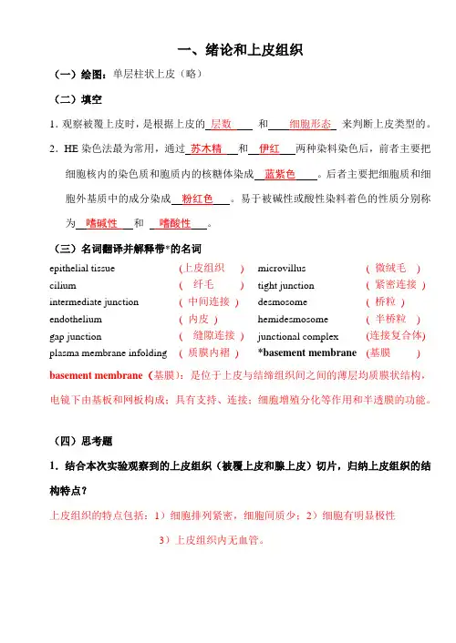 《组织学与胚胎学》-实验报告(参考答案)-33页