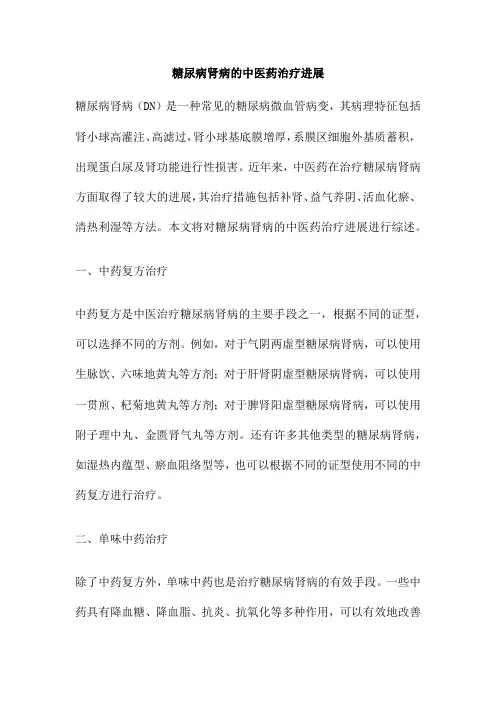 糖尿病肾病的中医药治疗进展