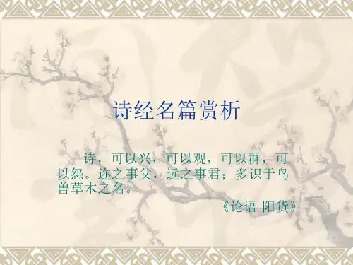 诗经名篇赏析