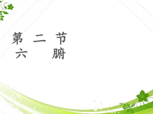 中医护理六腑  ppt课件