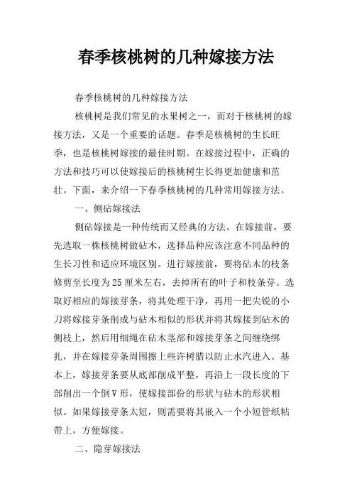 春季核桃树的几种嫁接方法