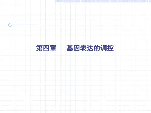 乳糖操纵子的调控机理
