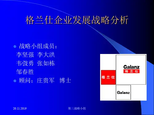 格兰仕企业发展战略分析-精品文档18页