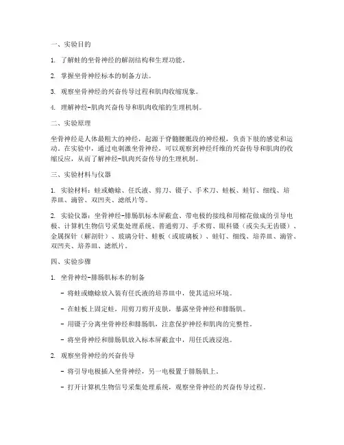 观察蛙的坐骨神经实训报告