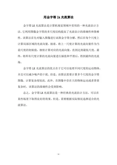 用金字塔lk光流算法