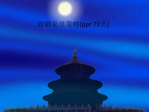 营销渠道策略(ppt 73页)