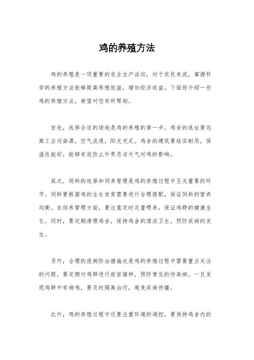 鸡的养殖方法