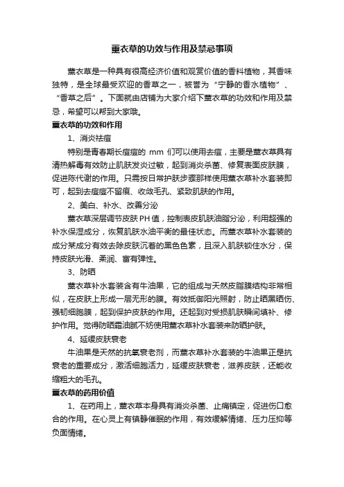 薰衣草的功效与作用及禁忌事项