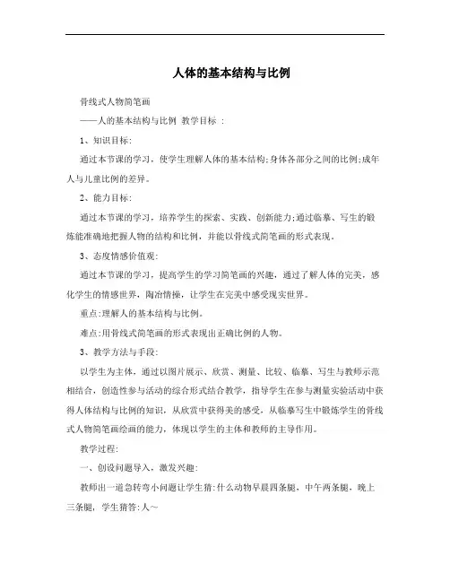 人体的基本结构与比例