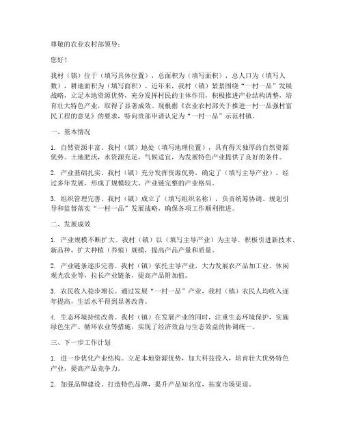 一村一品示范村镇申请书