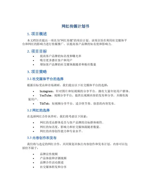 网红传媒计划书