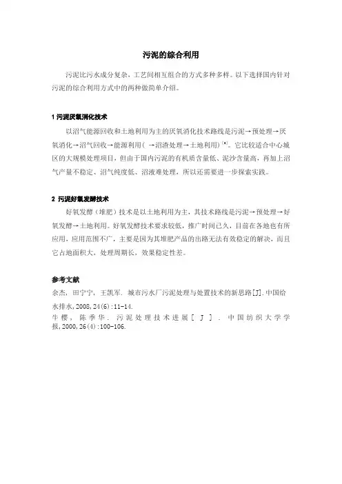 污泥的综合利用技术