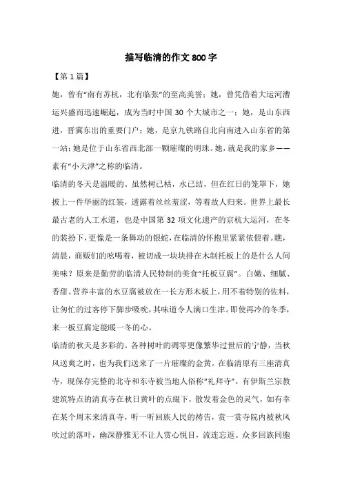 描写临清的作文800字