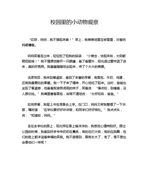 校园里的小动物观察