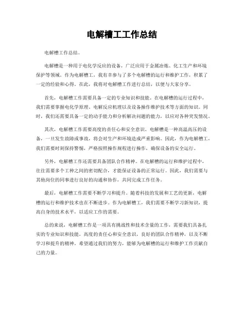 电解槽工工作总结