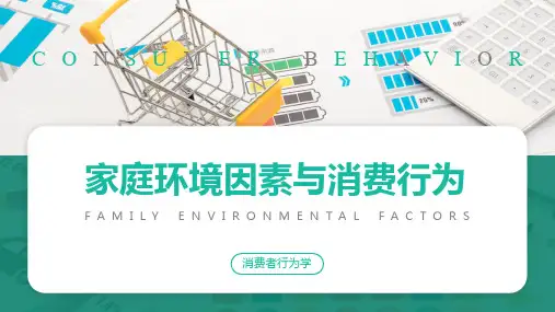 《消费者行为学》课件——3.家庭环境因素与消费行为