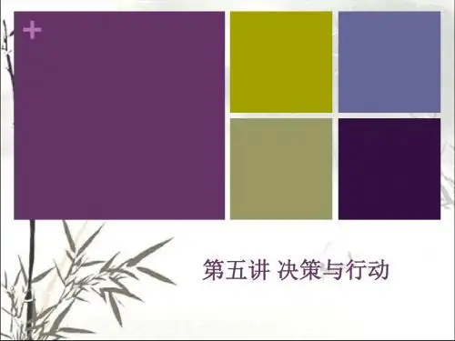 决策与行动 PPT课件