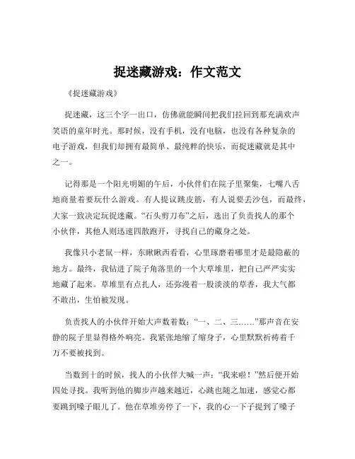 捉迷藏游戏：作文范文