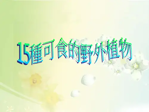 15种可食的 野外植物