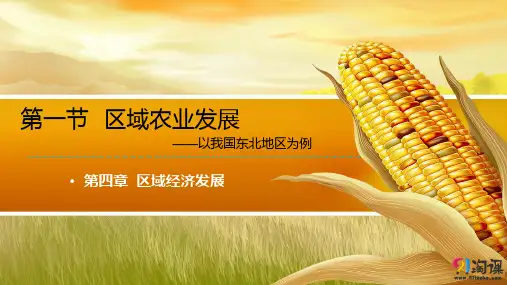 课件16：4.1 区域农业发展——以我国东北地区为例