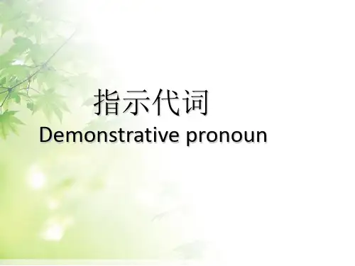 指示代词 ppt课件