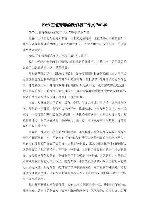 2023正值青春的我们初三作文700字