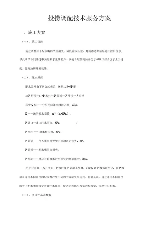 投捞调配技术服务方案