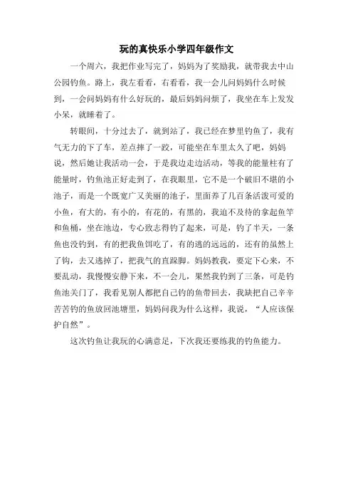 玩的真高兴小学四年级作文