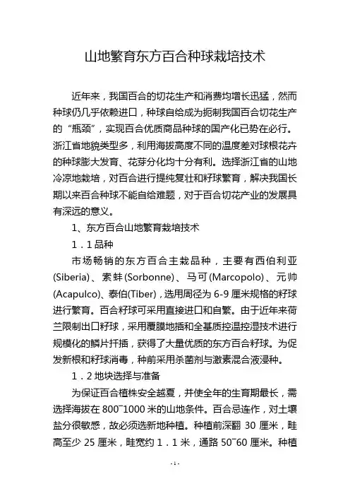 山地繁育东方百合种球栽培技术