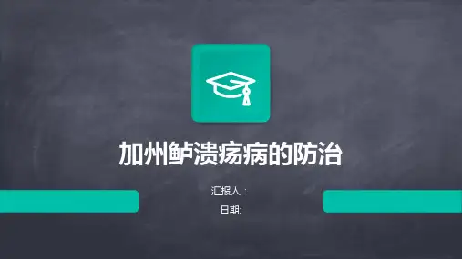 加州鲈溃疡病的防治
